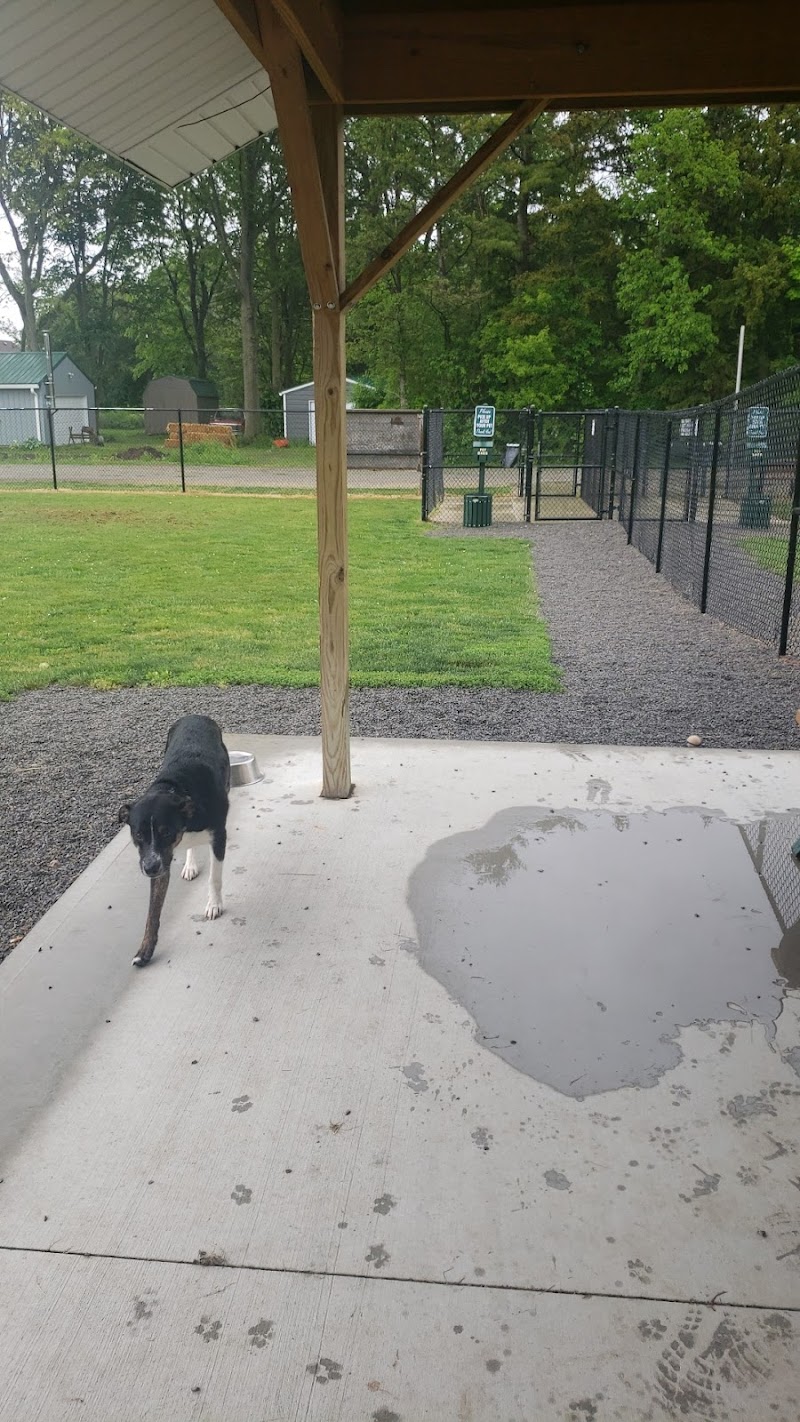 Ada Dog park - Ada, OH