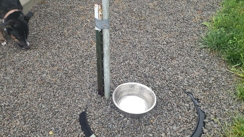 Ada Dog park - Ada, OH