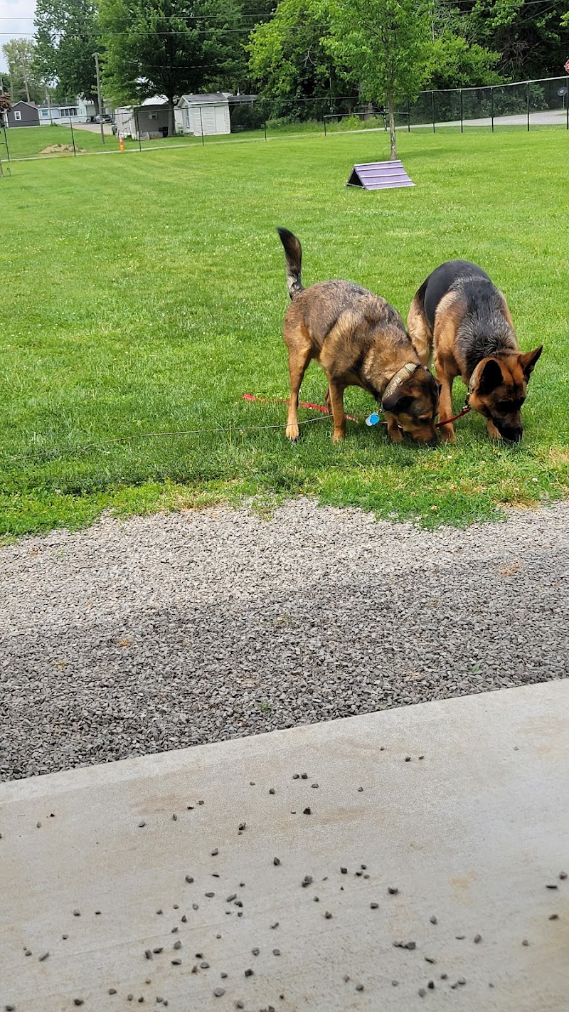 Ada Dog park - Ada, OH