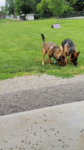 Ada Dog park