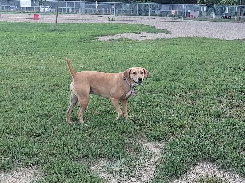BARC - Akron Dog Park - Akron, OH