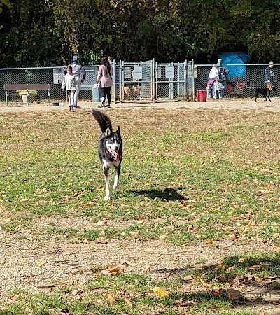 BARC - Akron Dog Park - Akron, OH