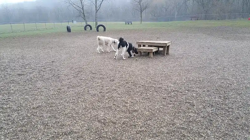 BARC - Akron Dog Park - Akron, OH