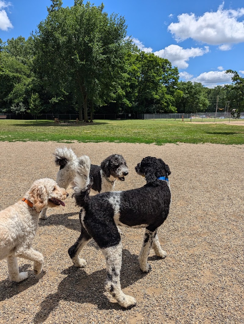 BARC - Akron Dog Park - Akron, OH