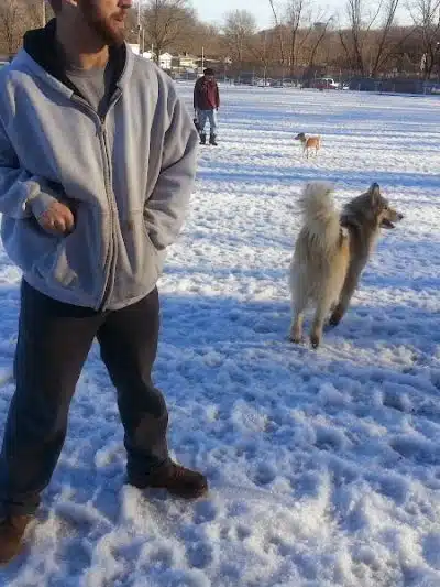 BARC - Akron Dog Park - Akron, OH