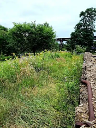Beech Street Trailhead - Akron, OH