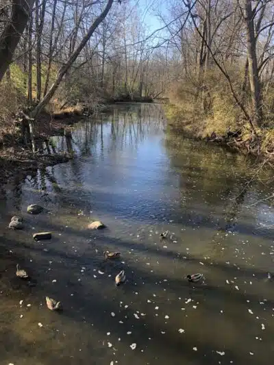 Firestone Metro Park-Tuscarawas Meadows Area - Akron, OH