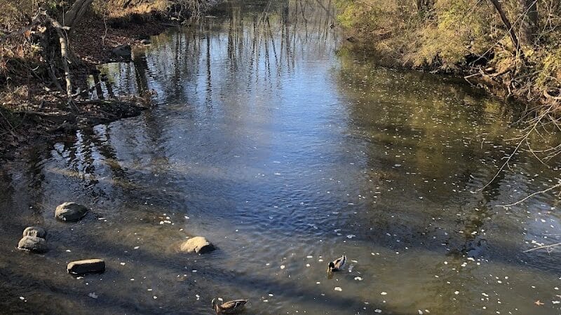 Firestone Metro Park-Tuscarawas Meadows Area - Akron, OH