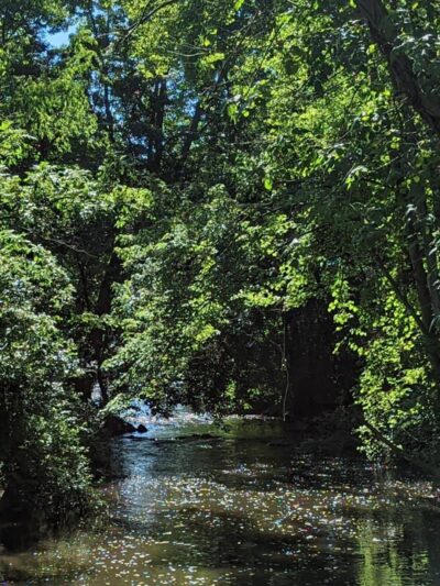 Firestone Metro Park-Tuscarawas Meadows Area - Akron, OH