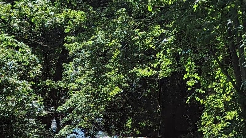 Firestone Metro Park-Tuscarawas Meadows Area - Akron, OH