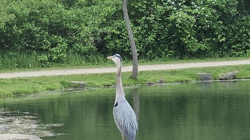 Firestone Metro Park-Tuscarawas Meadows Area - Akron, OH