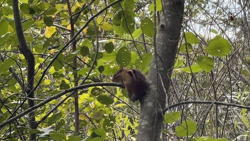 Firestone Metro Park-Warner Road Area - Akron, OH