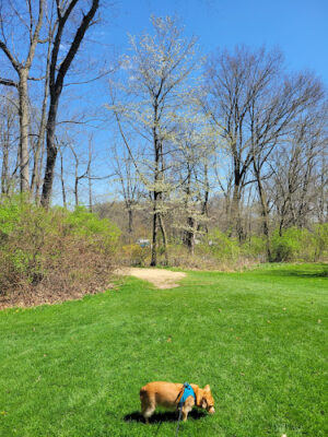 Firestone Metro Park-Warner Road Area