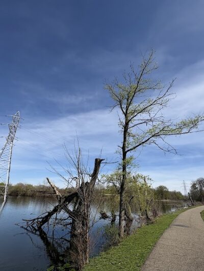 Firestone Park - Akron, OH