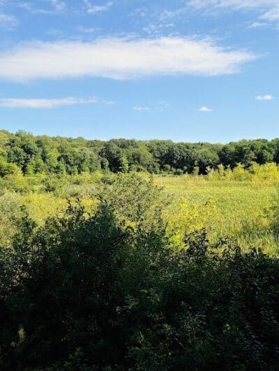 Goodyear Heights Metro Park - Pioneer Area - Akron, OH