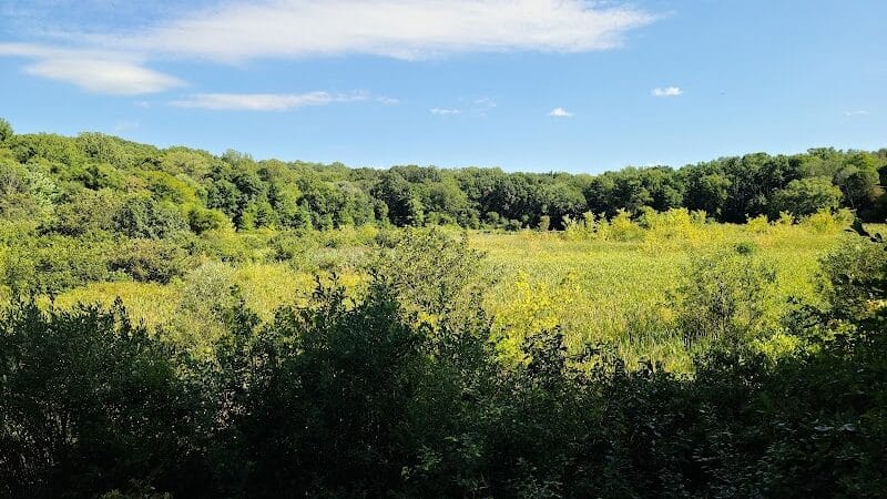 Goodyear Heights Metro Park - Pioneer Area - Akron, OH