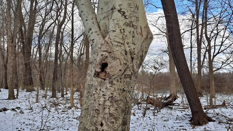 Goodyear Heights Metro Park - Pioneer Area - Akron, OH