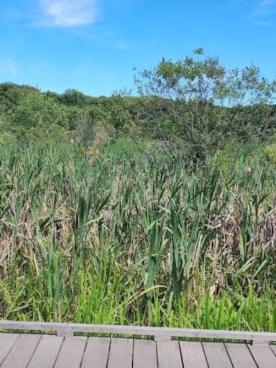 Goodyear Heights Metro Park - Pioneer Area - Akron, OH