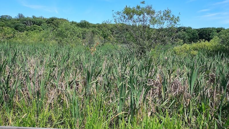 Goodyear Heights Metro Park - Pioneer Area - Akron, OH