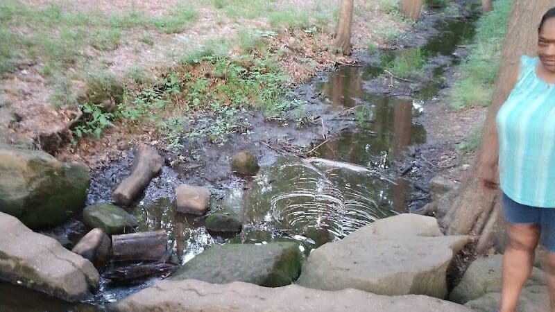 Goodyear Heights Metro Park - Pioneer Area - Akron, OH