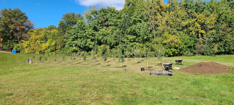 Lane Field Park - Akron, OH