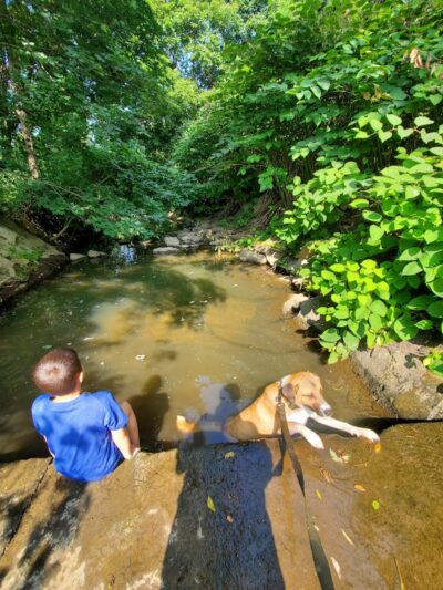 Lion's Park - Akron, OH