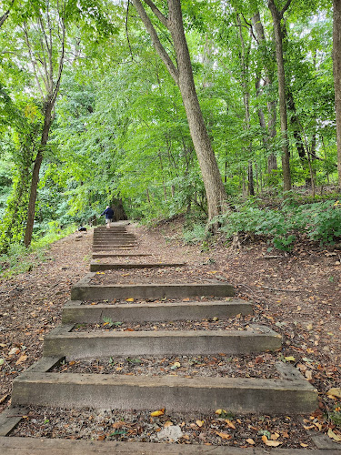Lion's Park