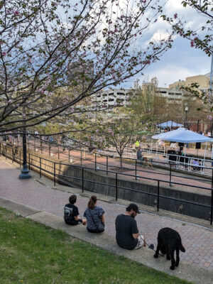 Lock 2 Park