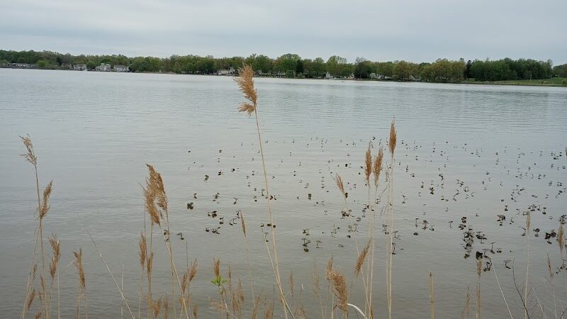 Springfield Lake - Akron, OH