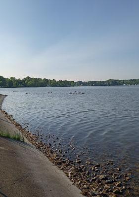 Springfield Lake