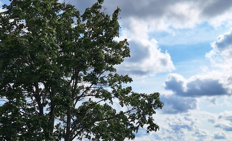 Springfield Lake - Akron, OH
