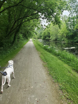 Towpath Trailhead at Manchester Rd