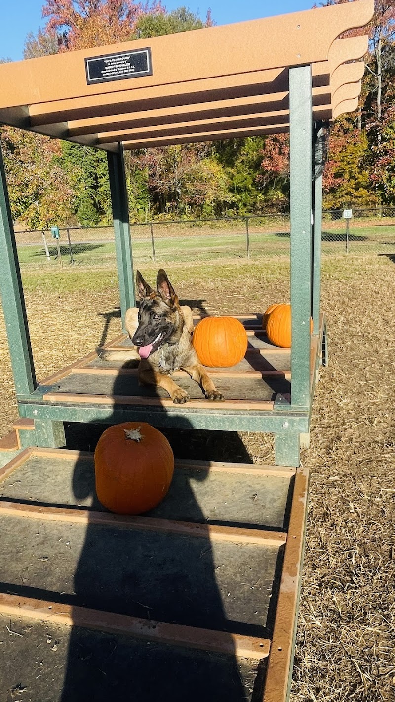 Westgrove Dog Park - Alexandria, VA