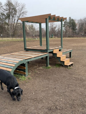 Westgrove Dog Park
