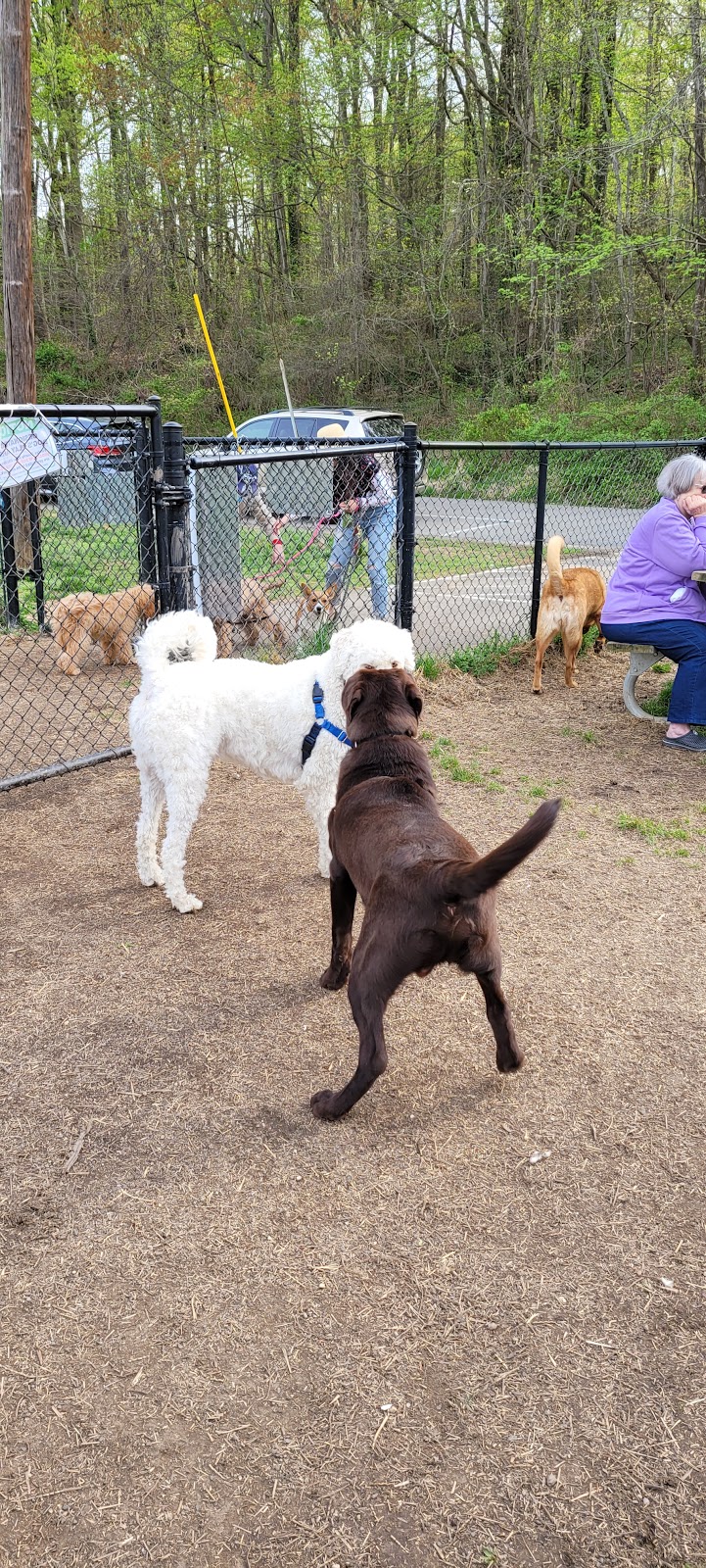 Westgrove Dog Park - Alexandria, VA