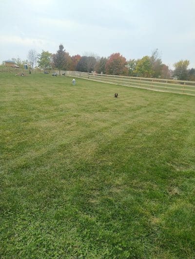 Alliance Dog Park - Alliance, OH