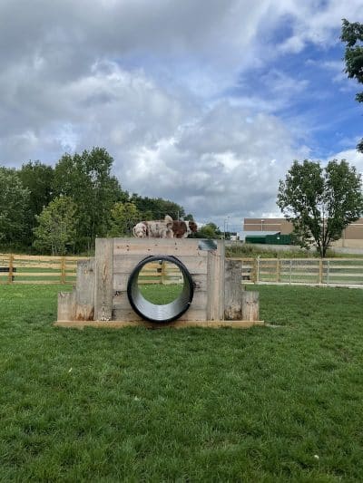 Alliance Dog Park - Alliance, OH