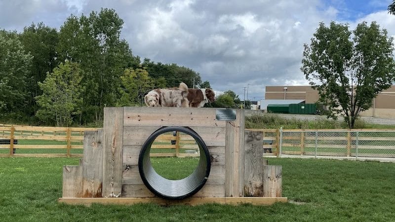 Alliance Dog Park - Alliance, OH