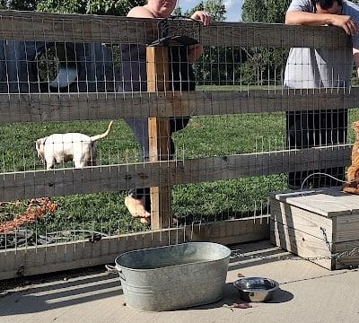 Alliance Dog Park - Alliance, OH