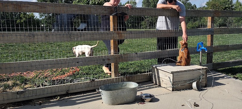 Alliance Dog Park - Alliance, OH