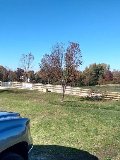Alliance Dog Park - Alliance, OH