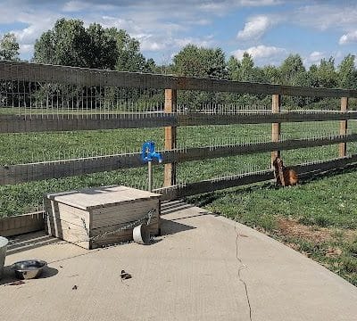 Alliance Dog Park - Alliance, OH