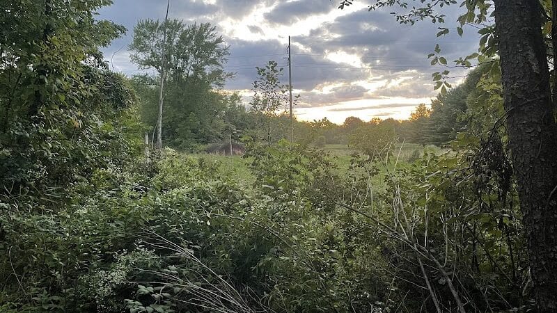 Iron Horse Trailhead - Alliance, OH
