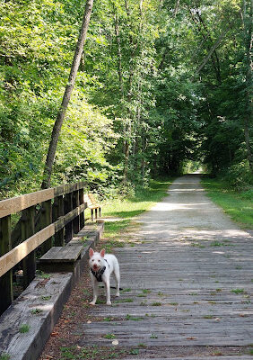 Iron Horse Trailhead
