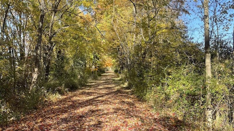 Iron Horse Trailhead - Alliance, OH