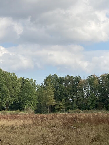 Lake Park Wildlife Area