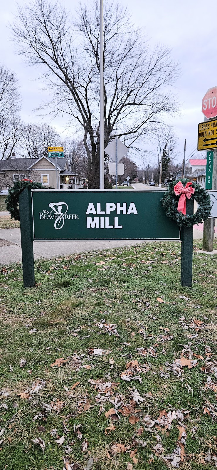 Bud Carter Park - Alpha, OH