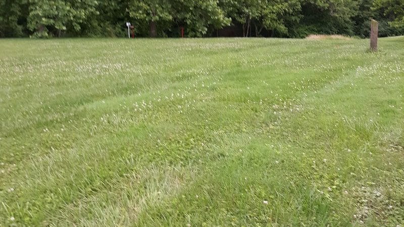 Spencer Shank Memorial Park Dog Park - Amelia, OH