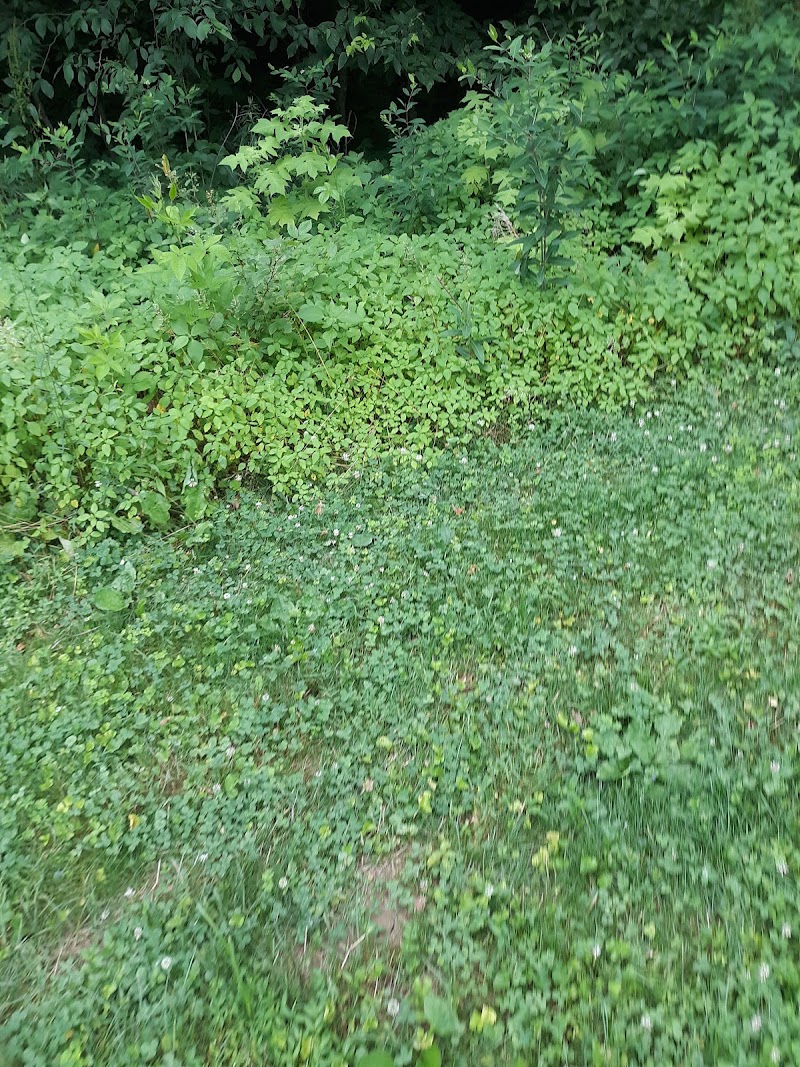 Spencer Shank Memorial Park Dog Park - Amelia, OH