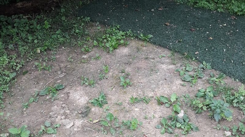 Spencer Shank Memorial Park Dog Park - Amelia, OH